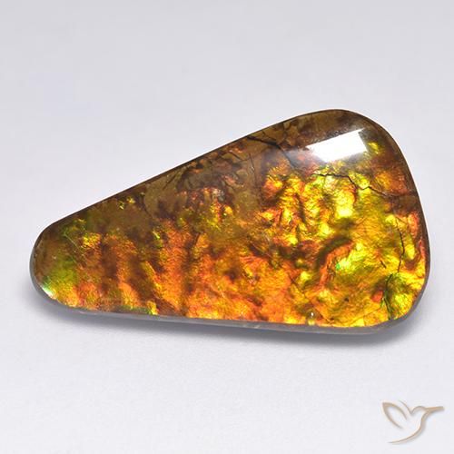 Ammolite Multicolore naturelle Fantaisie, 18.34 ct, Opaque