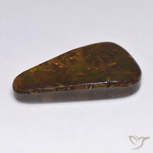 Ammolite Multicolore naturelle Fantaisie, 18.34 ct, Opaque
