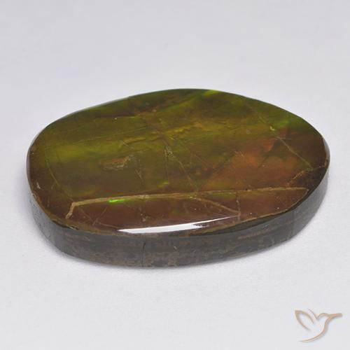 Ammolite Multicolore naturelle Fantaisie, 20.63 ct, Opaque