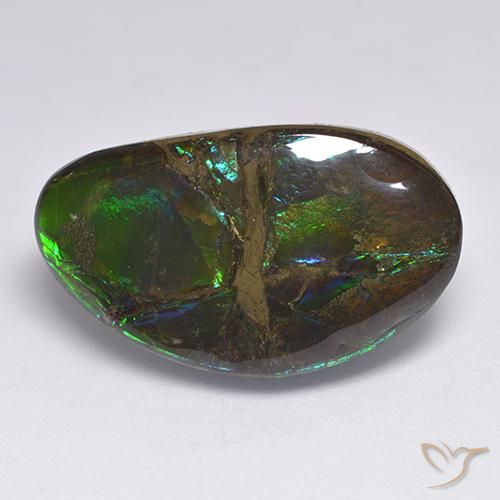 Ammolite Multicolore naturelle Fantaisie, 18.50 ct, Opaque