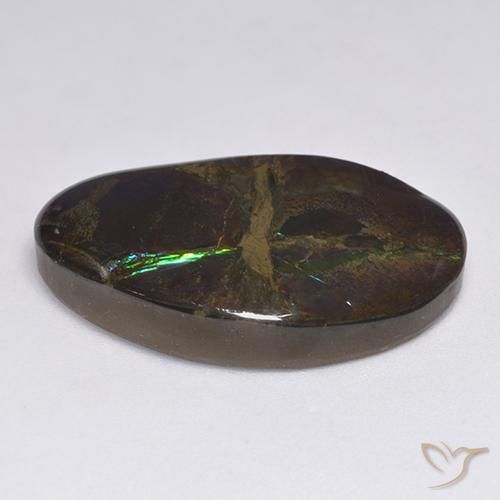 Ammolite Multicolore naturelle Fantaisie, 18.50 ct, Opaque