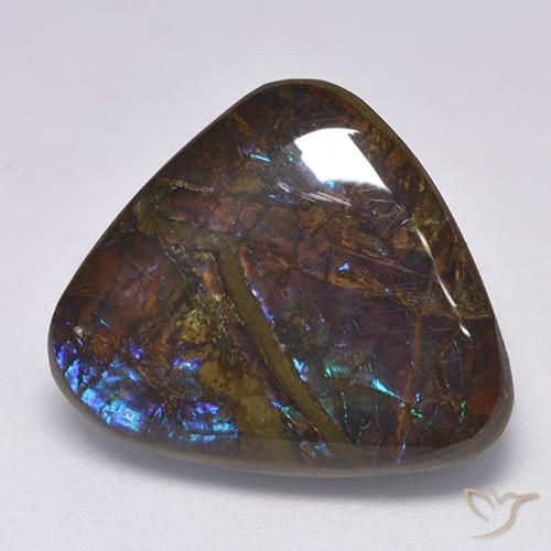 Ammolite Multicolore naturelle Trillion, 14.06 ct, Opaque