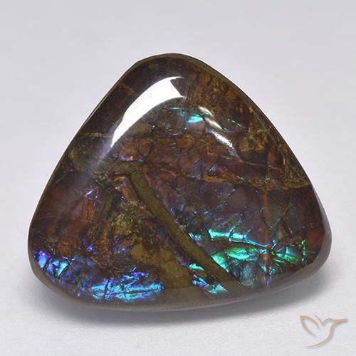 Ammolite Multicolore naturelle Trillion, 14.06 ct, Opaque