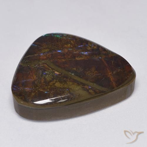 Ammolite Multicolore naturelle Trillion, 14.06 ct, Opaque