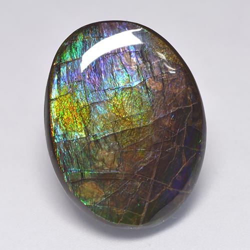 Ammolite multicolore naturelle forme fantaisie, 19,39 ct, opaque