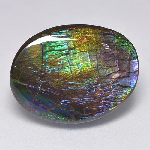 Ammolite multicolore naturelle forme fantaisie, 19,39 ct, opaque