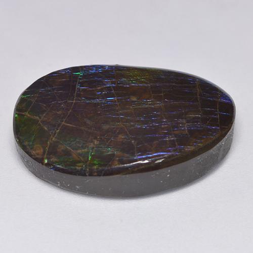 Ammolite multicolore naturelle forme fantaisie, 19,39 ct, opaque