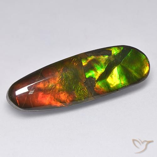 Ammolite Multicolore naturelle Fantaisie, 13.63 ct, Opaque
