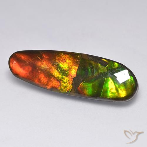 Ammolite Multicolore naturelle Fantaisie, 13.63 ct, Opaque