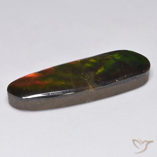 Ammolite Multicolore naturelle Fantaisie, 13.63 ct, Opaque
