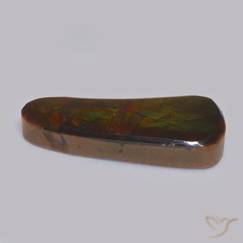 Ammolite Multicolore naturelle Fantaisie, 11.58 ct, Opaque