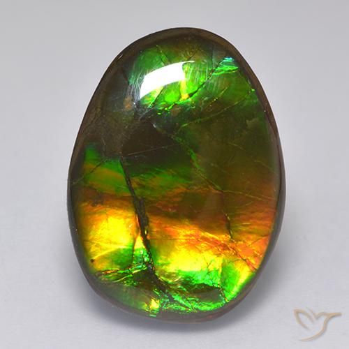 Ammolite Multicolore naturelle Fantaisie, 14.86 ct, Opaque