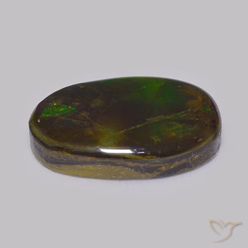 Ammolite Multicolore naturelle Fantaisie, 14.86 ct, Opaque