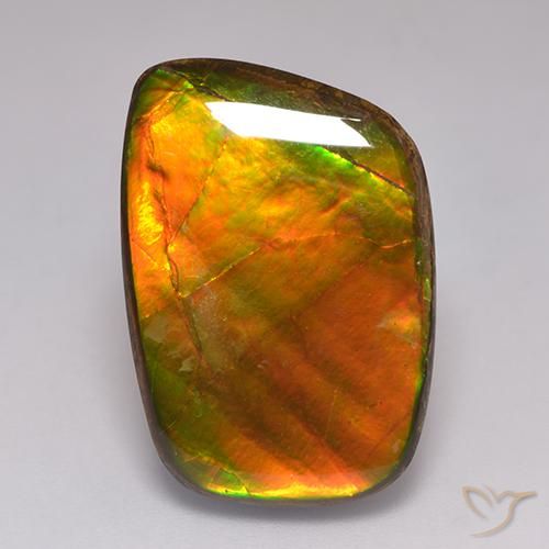 Ammolite Multicolore naturelle Fantaisie, 21.59 ct, Opaque
