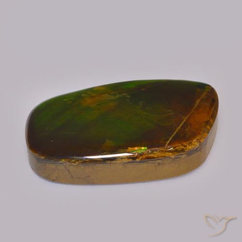 Ammolite Multicolore naturelle Fantaisie, 21.59 ct, Opaque