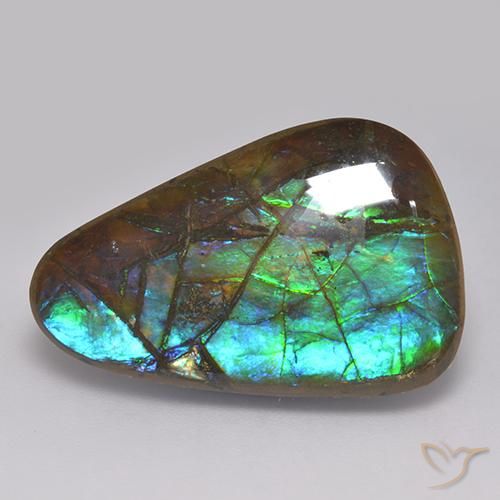 Ammolite Multicolore naturelle Fantaisie, 17.82 ct, Opaque