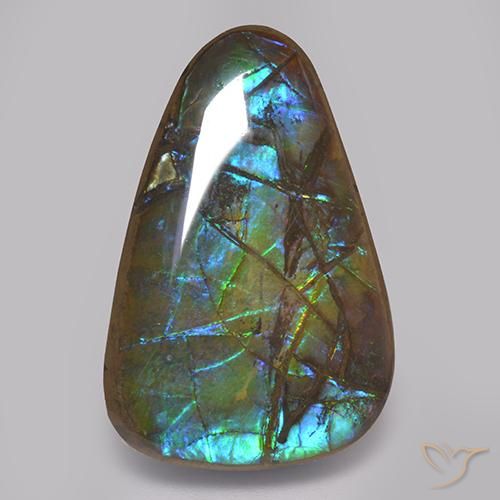 Ammolite Multicolore naturelle Fantaisie, 17.82 ct, Opaque