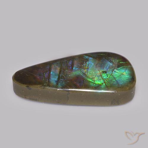 Ammolite Multicolore naturelle Fantaisie, 17.82 ct, Opaque
