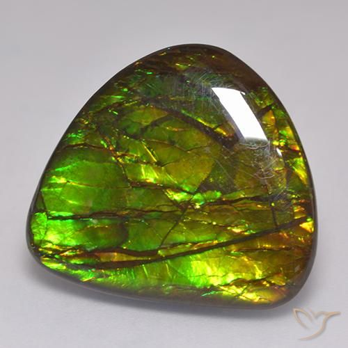Ammolite Multicolore naturelle Fantaisie, 20.62 ct, Opaque