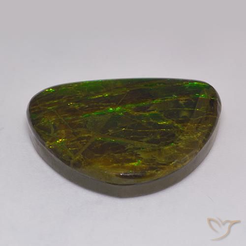 Ammolite Multicolore naturelle Fantaisie, 20.62 ct, Opaque