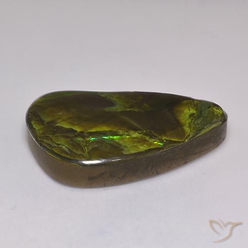 Ammolite Multicolore naturelle Fantaisie, 19.60 ct, Opaque