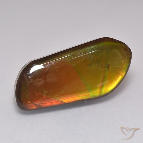 Ammolite Multicolore naturelle Fantaisie, 13.43 ct, Opaque