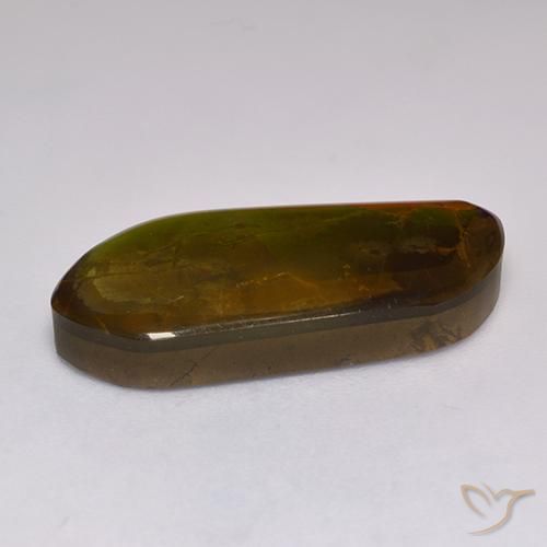 Ammolite Multicolore naturelle Fantaisie, 13.43 ct, Opaque