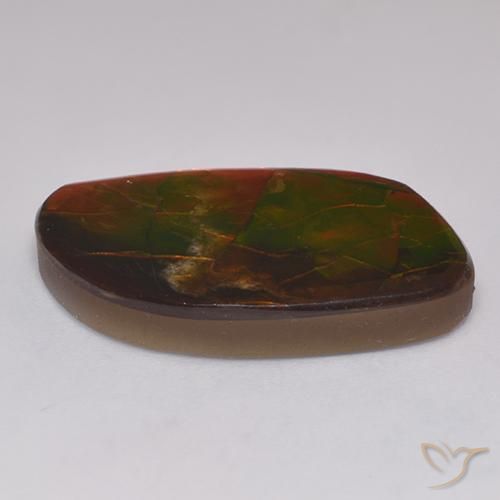 Ammolite Multicolore naturelle Fantaisie, 20.30 ct, Opaque