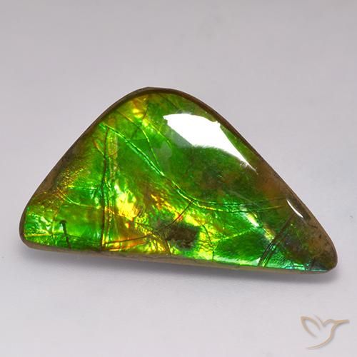 17.71ct Naturel Multicolore Ammolite, Fantaisie, Opaque