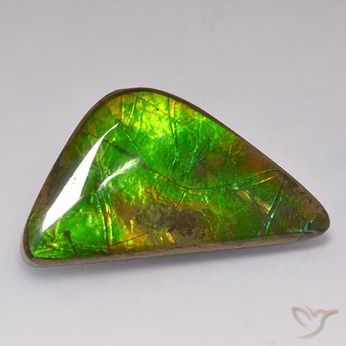 Ammolite Multicolore naturelle Fantaisie, 17.71 ct, Opaque