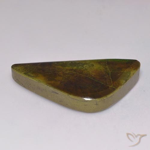 Ammolite Multicolore naturelle Fantaisie, 17.71 ct, Opaque
