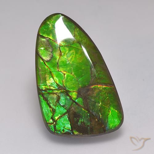 Ammolite Multicolore naturelle Fantaisie, 19.72 ct, Opaque