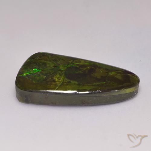 Ammolite Multicolore naturelle Fantaisie, 19.72 ct, Opaque