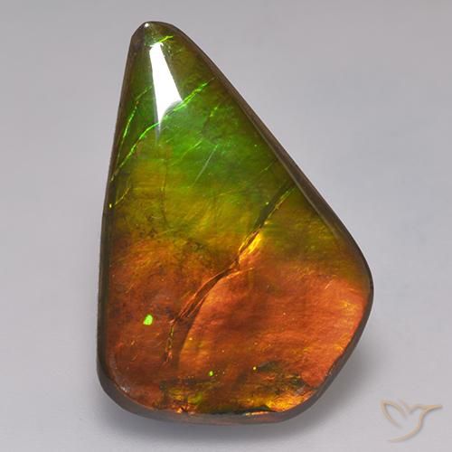 Ammolite Multicolore naturelle Fantaisie, 20.30 ct, Opaque