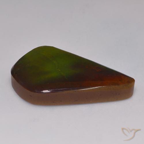 Ammolite Multicolore naturelle Fantaisie, 20.30 ct, Opaque