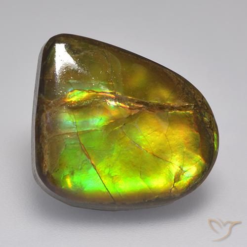 Ammolite Multicolore naturelle Fantaisie, 10.46 ct, Opaque