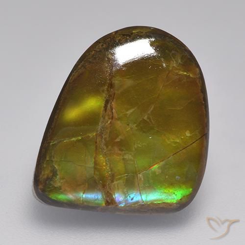 Ammolite Multicolore naturelle Fantaisie, 10.46 ct, Opaque