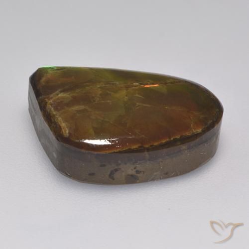 Ammolite Multicolore naturelle Fantaisie, 10.46 ct, Opaque
