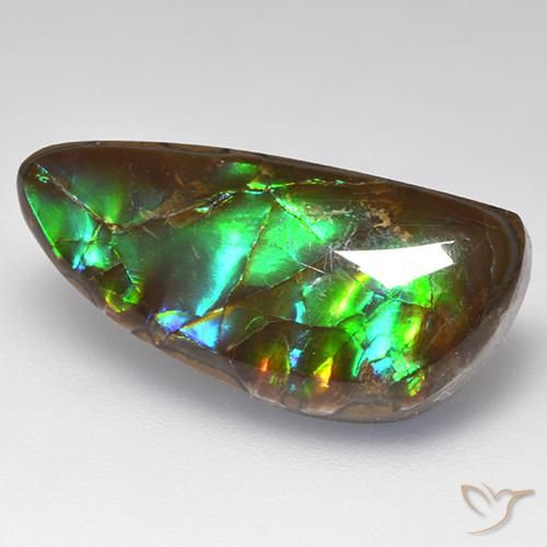Ammolite Multicolore naturelle Fantaisie, 10.29 ct, Opaque