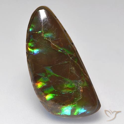 Ammolite Multicolore naturelle Fantaisie, 10.29 ct, Opaque