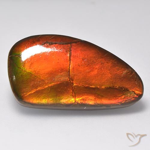 Ammolite Multicolore naturelle Fantaisie, 16.93 ct, Opaque