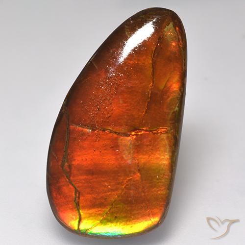 Ammolite Multicolore naturelle Fantaisie, 16.93 ct, Opaque