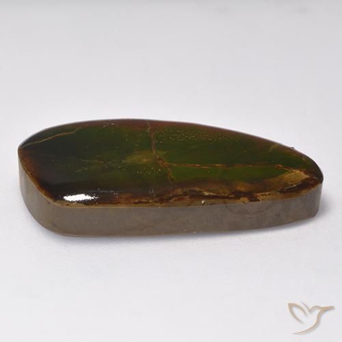Ammolite Multicolore naturelle Fantaisie, 16.93 ct, Opaque