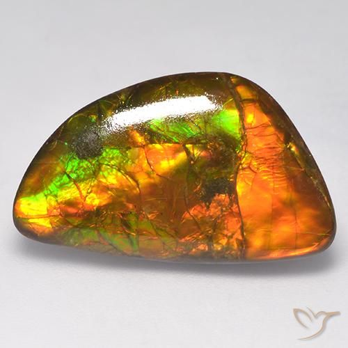 Ammolite multicolore naturelle forme fantaisie, 14,90 ct, opaque