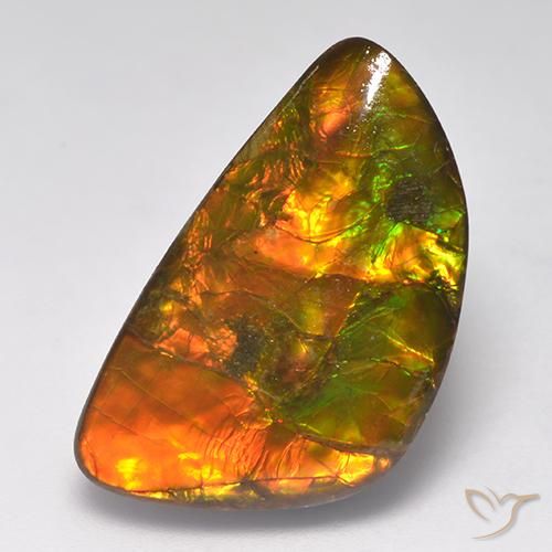 Ammolite multicolore naturelle forme fantaisie, 14,90 ct, opaque