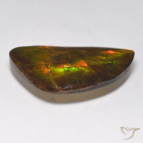 Ammolite multicolore naturelle forme fantaisie, 14,90 ct, opaque