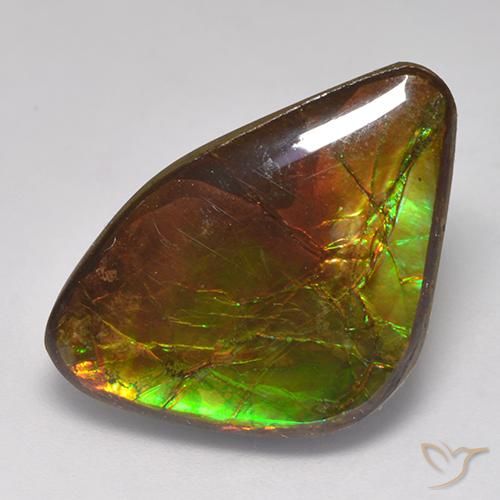 Ammolite Multicolore naturelle Fantaisie, 14.18 ct, Opaque