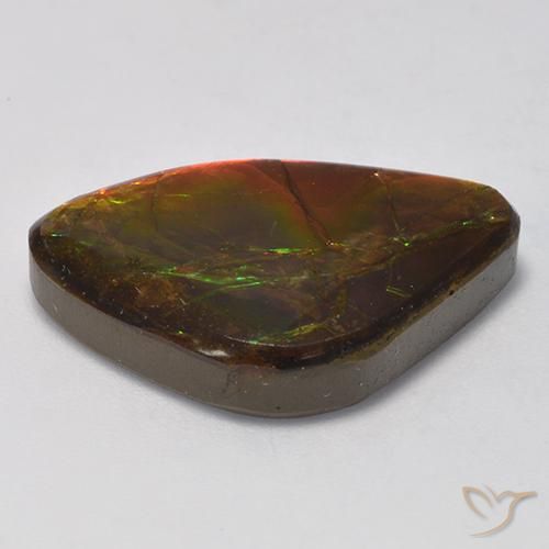 Ammolite Multicolore naturelle Fantaisie, 14.18 ct, Opaque