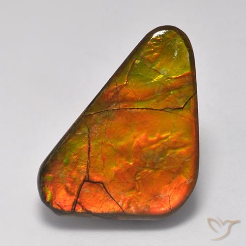 Ammolite Multicolore naturelle Fantaisie, 13.81 ct, Opaque