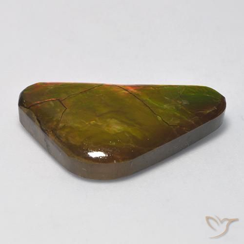 Ammolite Multicolore naturelle Fantaisie, 13.81 ct, Opaque